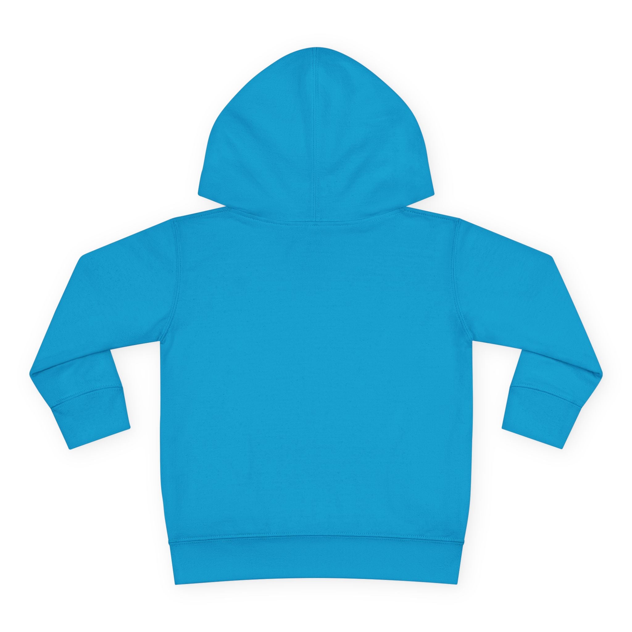 Toddler Hoodie Stay Pawsitive — Stay Pawsitive dog Pullover