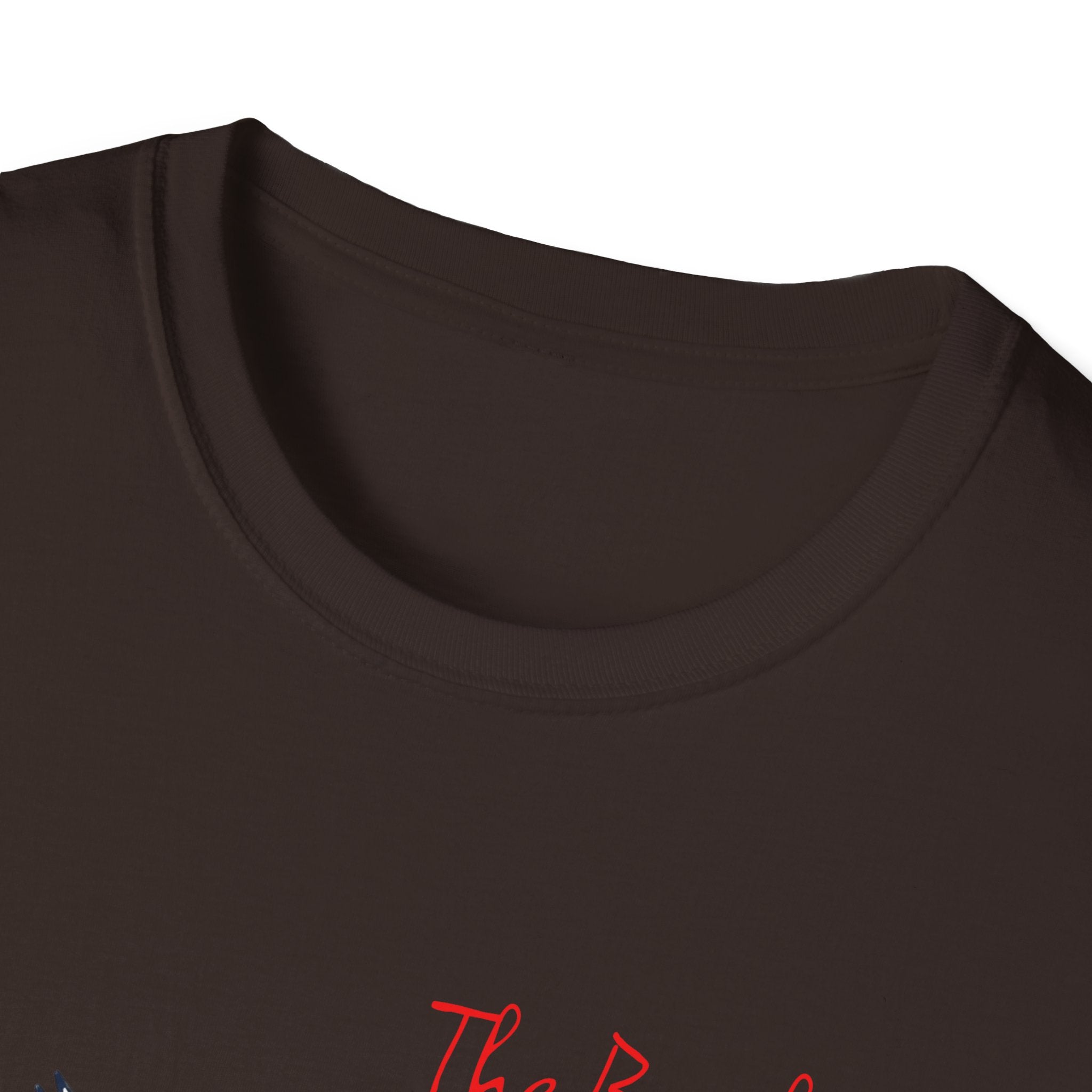 T-Shirt — The Beaches Toronto with Seagulls and cn tower