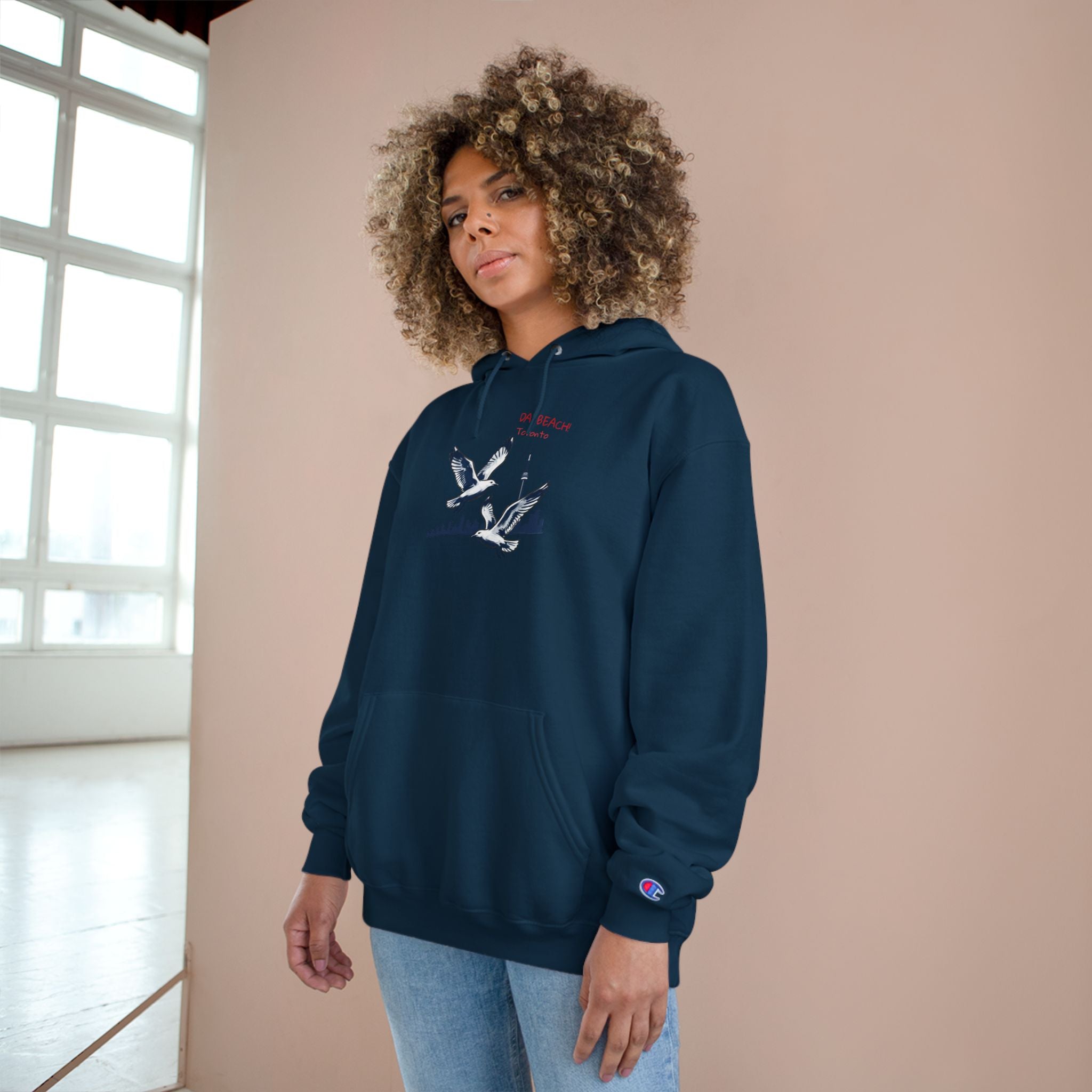 Hoodie Da Beach Seagulls and cn tower drawing Toronto Hoodie –  Pullover