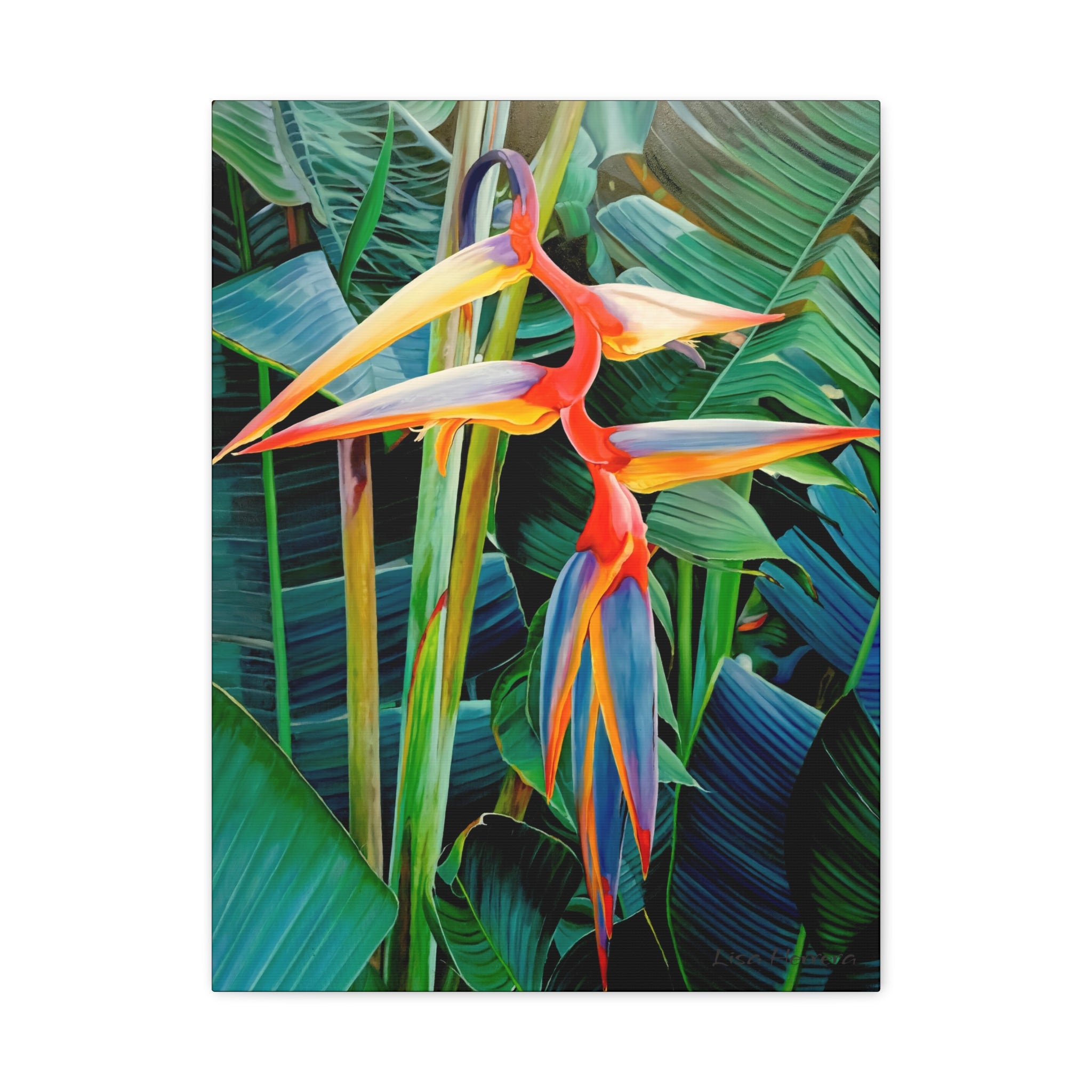 Canvas Print Lisa Herrera Halyconia Canvas Print — Vibrant Wall Art