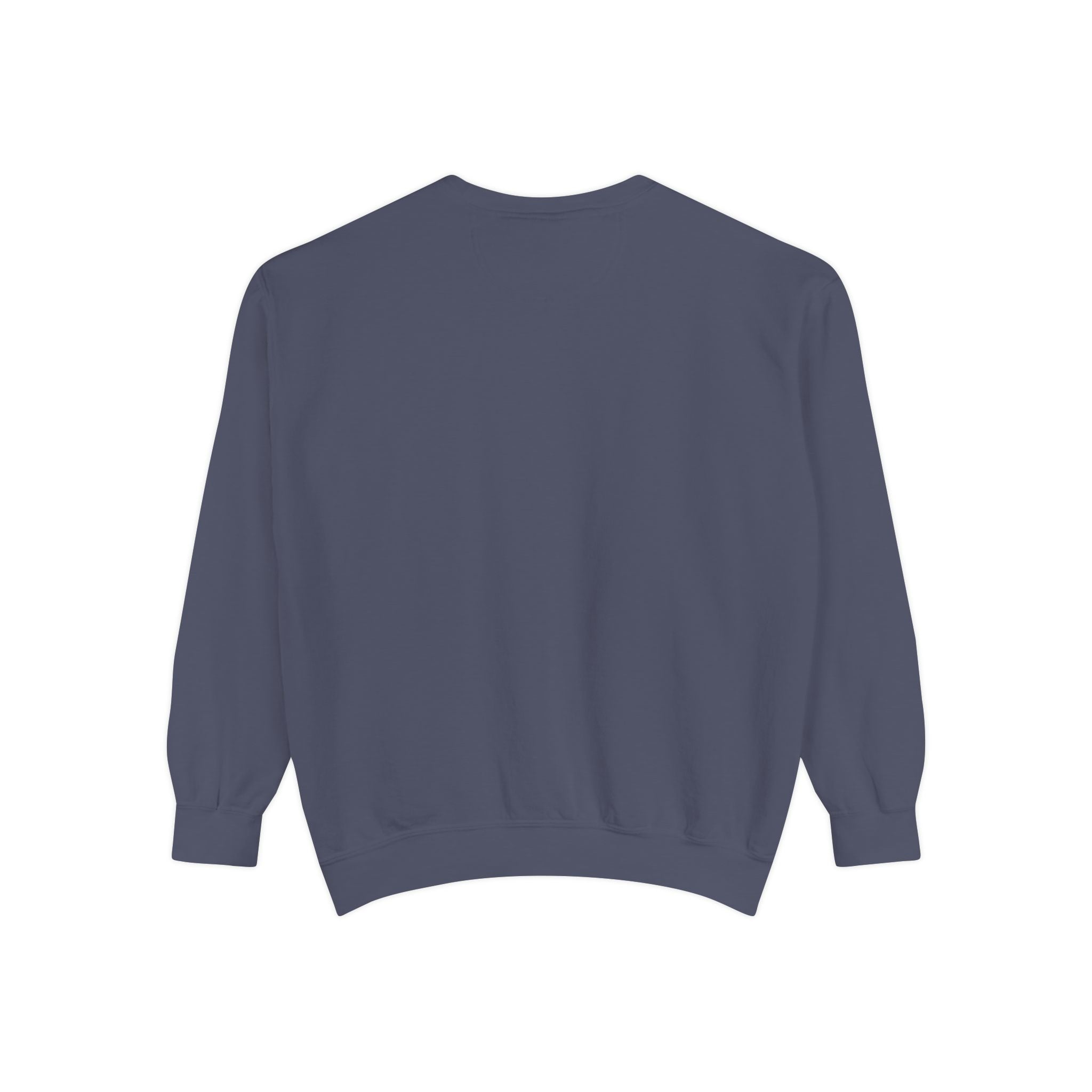 Sweatshirt The Beaches Leuty Stn Sweatshirt — Leuty stn Line Art Pullover