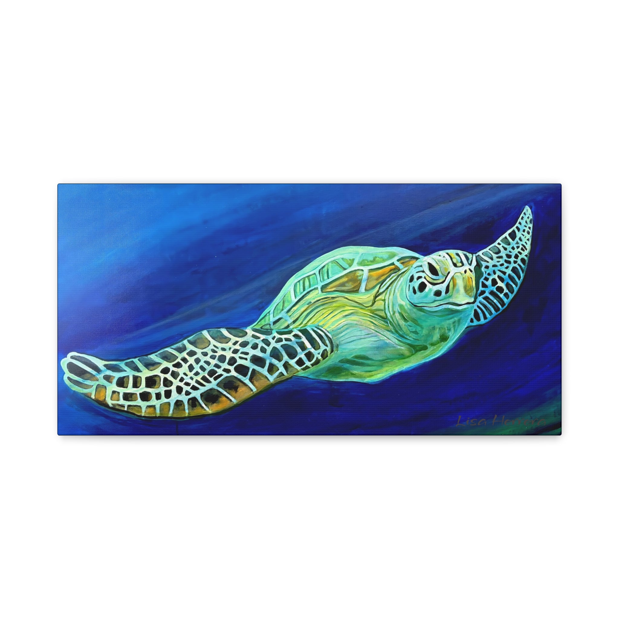 Canvas Print Matte of Turtle Painting , Stretched, 1.25"