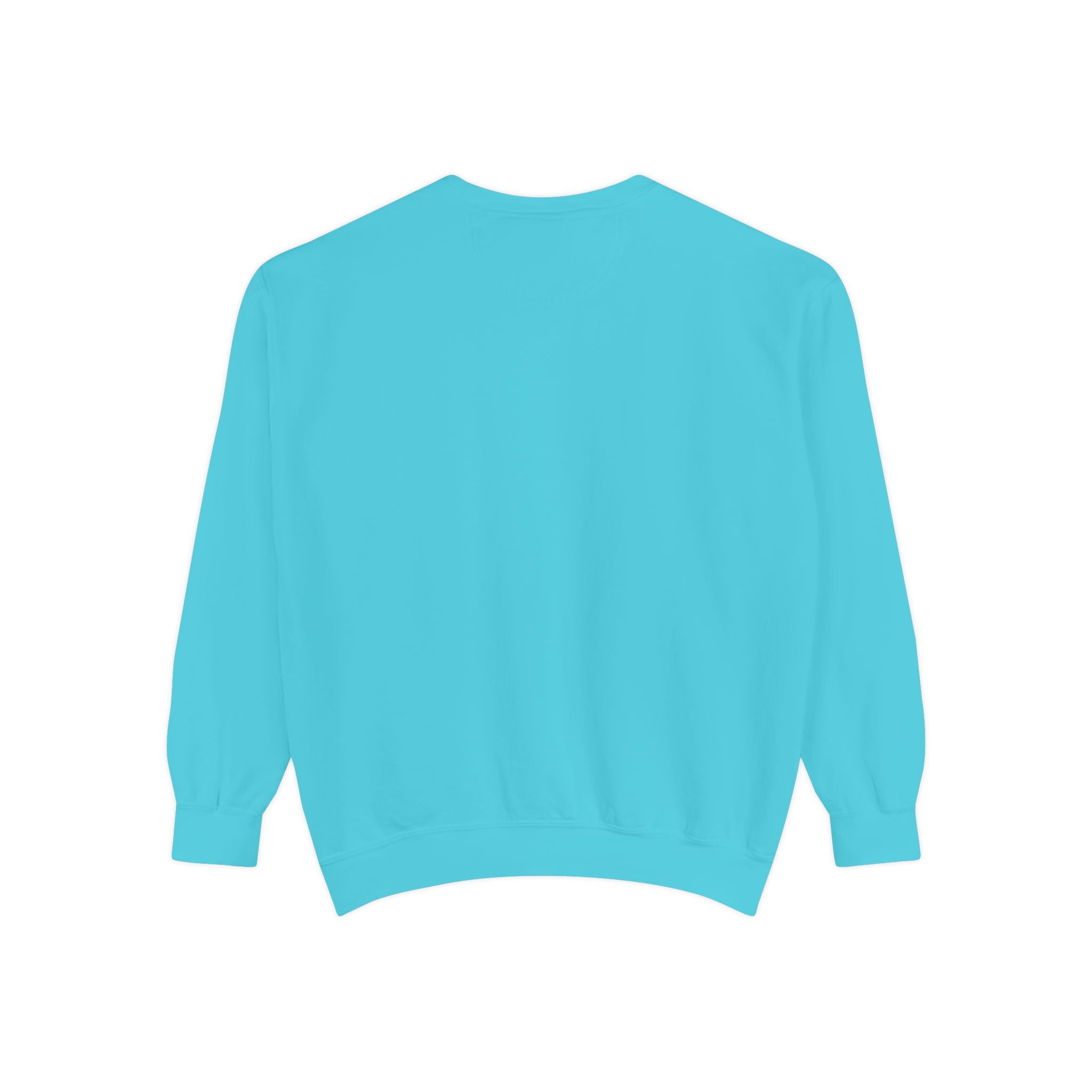 Sweatshirt The Beaches Leuty Stn Sweatshirt — Leuty stn Line Art Pullover