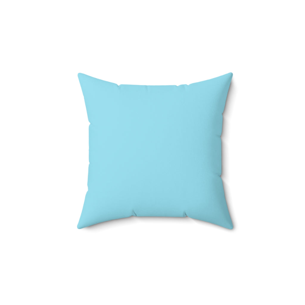 Throw Pillow Lisa Herrera art Sea Turtle  - Aqua Coastal Decorative Cushion