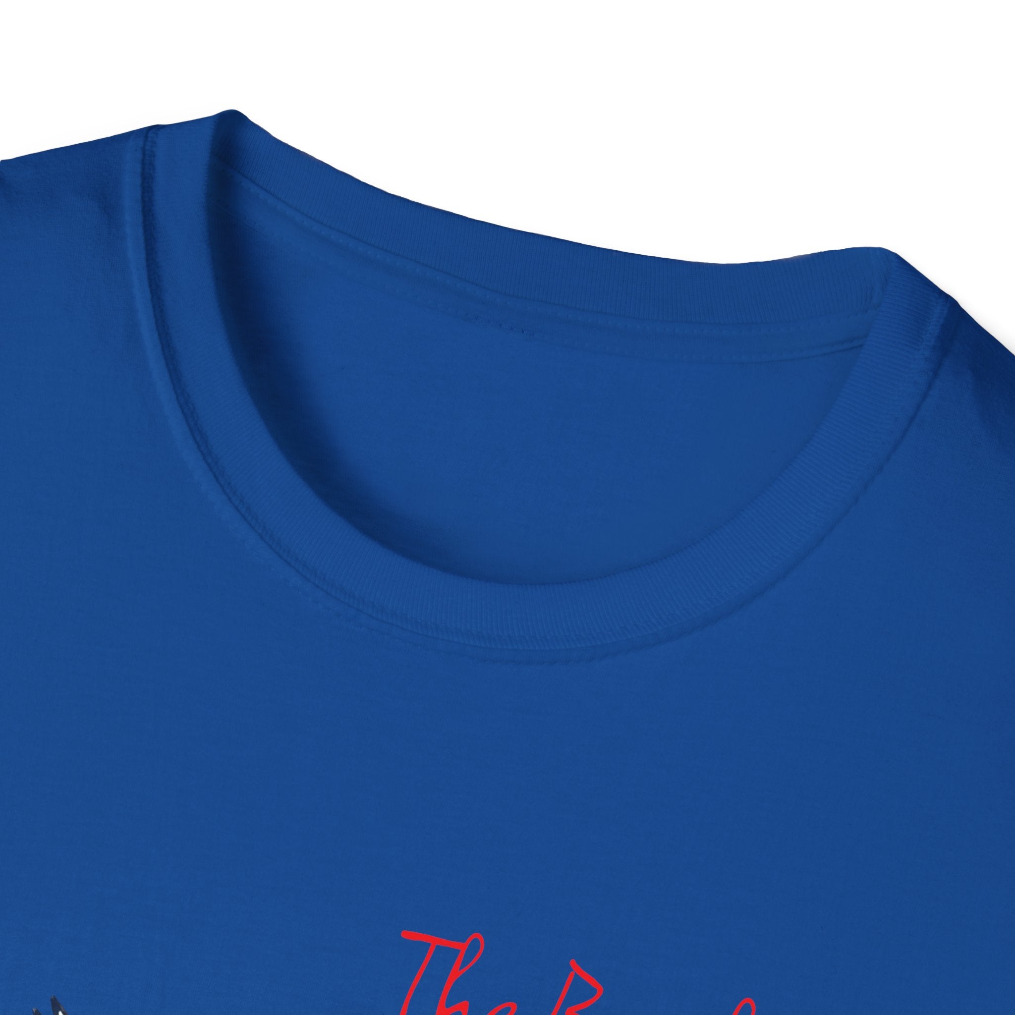T-Shirt — The Beaches Toronto with Seagulls and cn tower