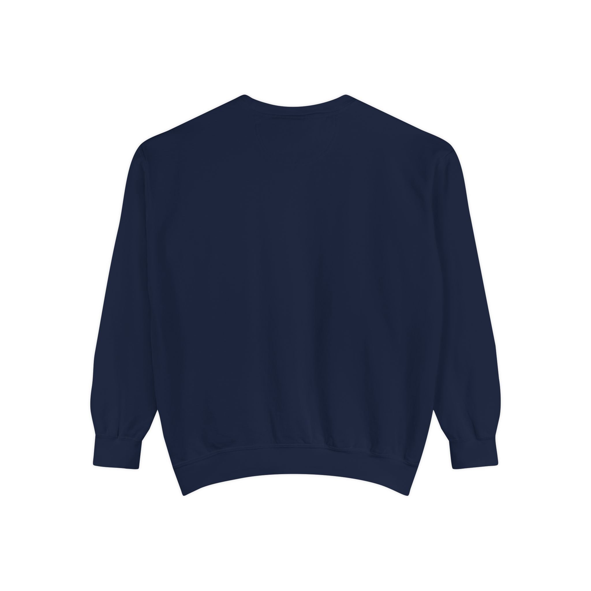 Sweatshirt The Beaches Leuty Stn Sweatshirt — Leuty stn Line Art Pullover