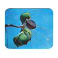 Mouse Pad Print of Painting Caribbean Almonds — Green Almonds on Blue Background