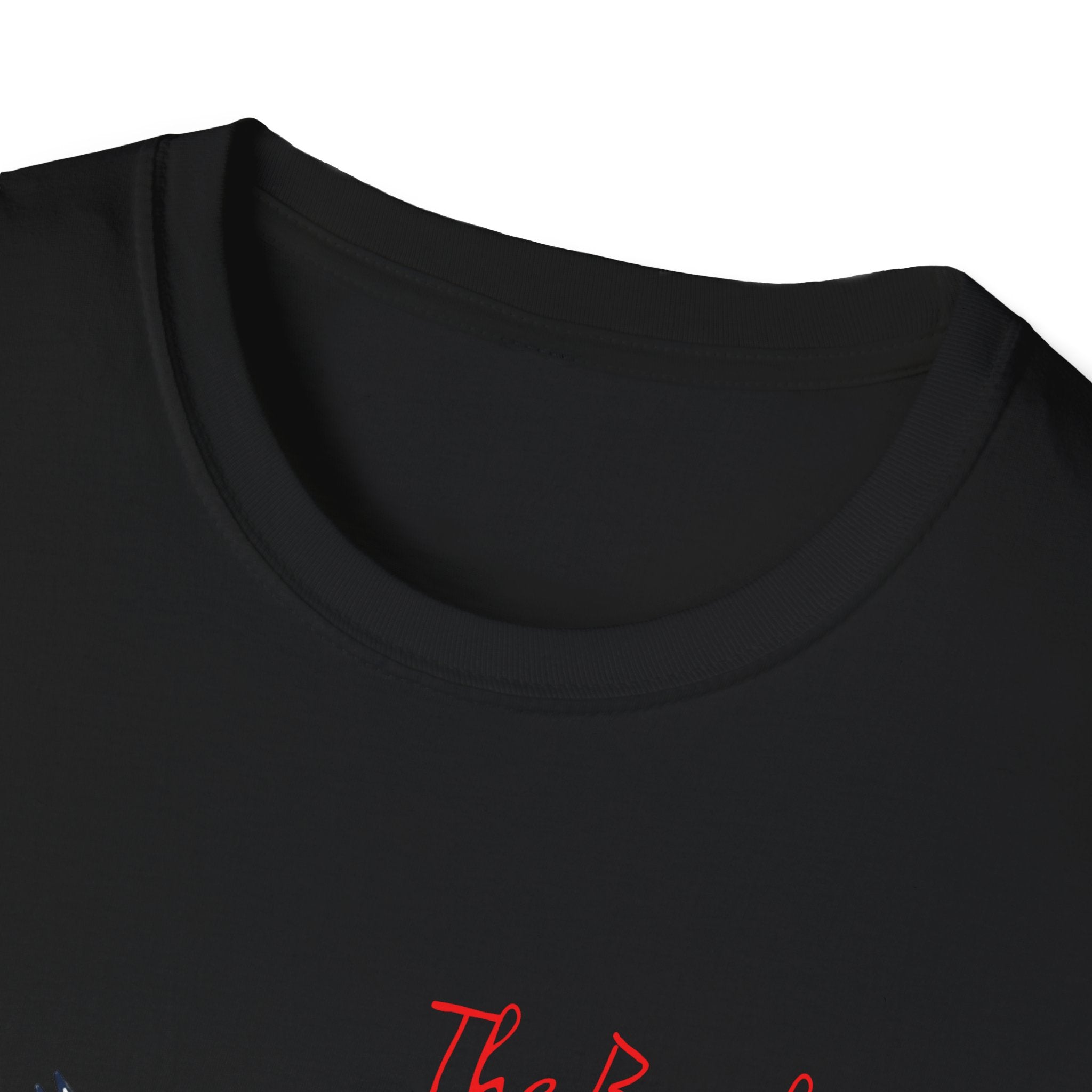 T-Shirt — The Beaches Toronto with Seagulls and cn tower