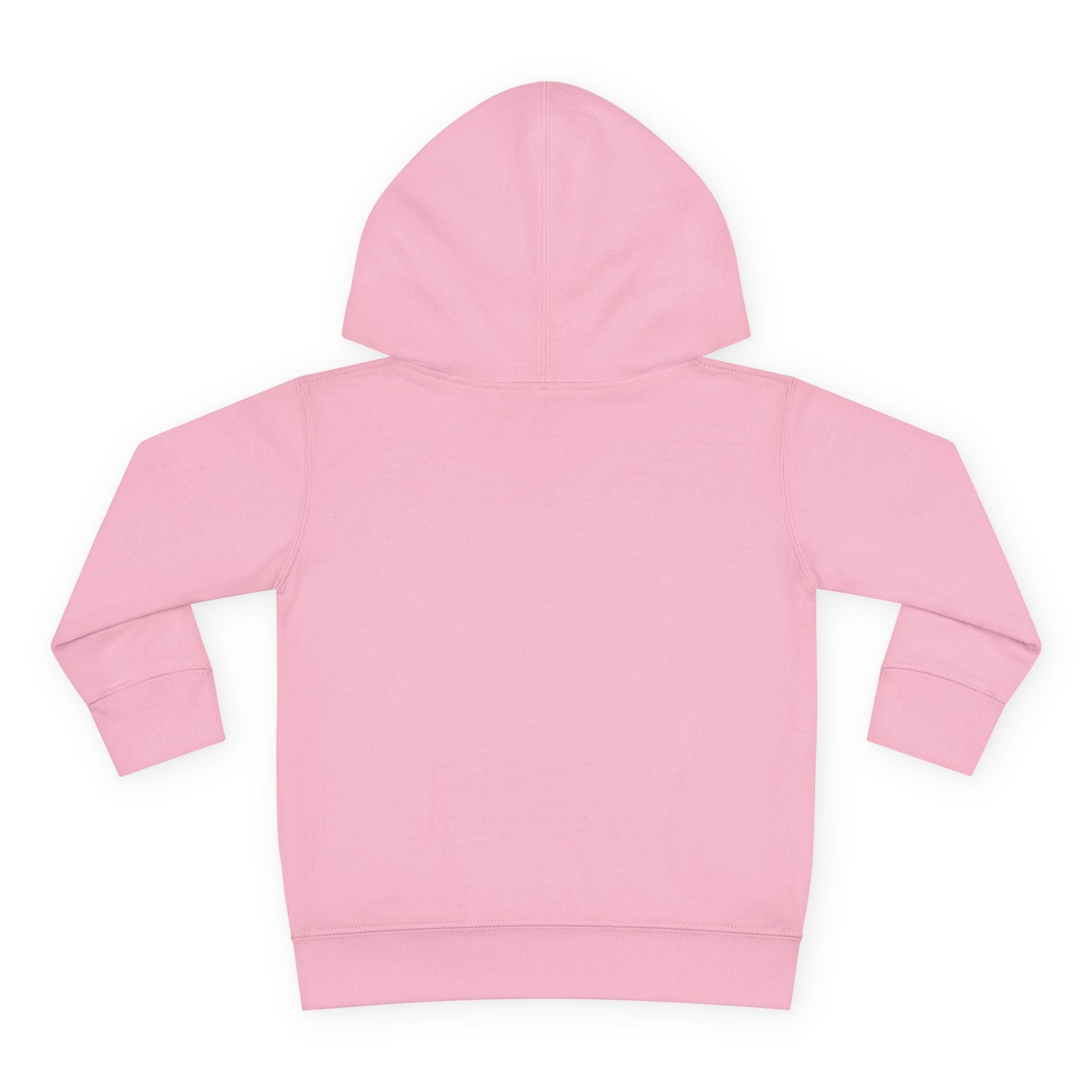 Toddler Hoodie Lizard— Pullover