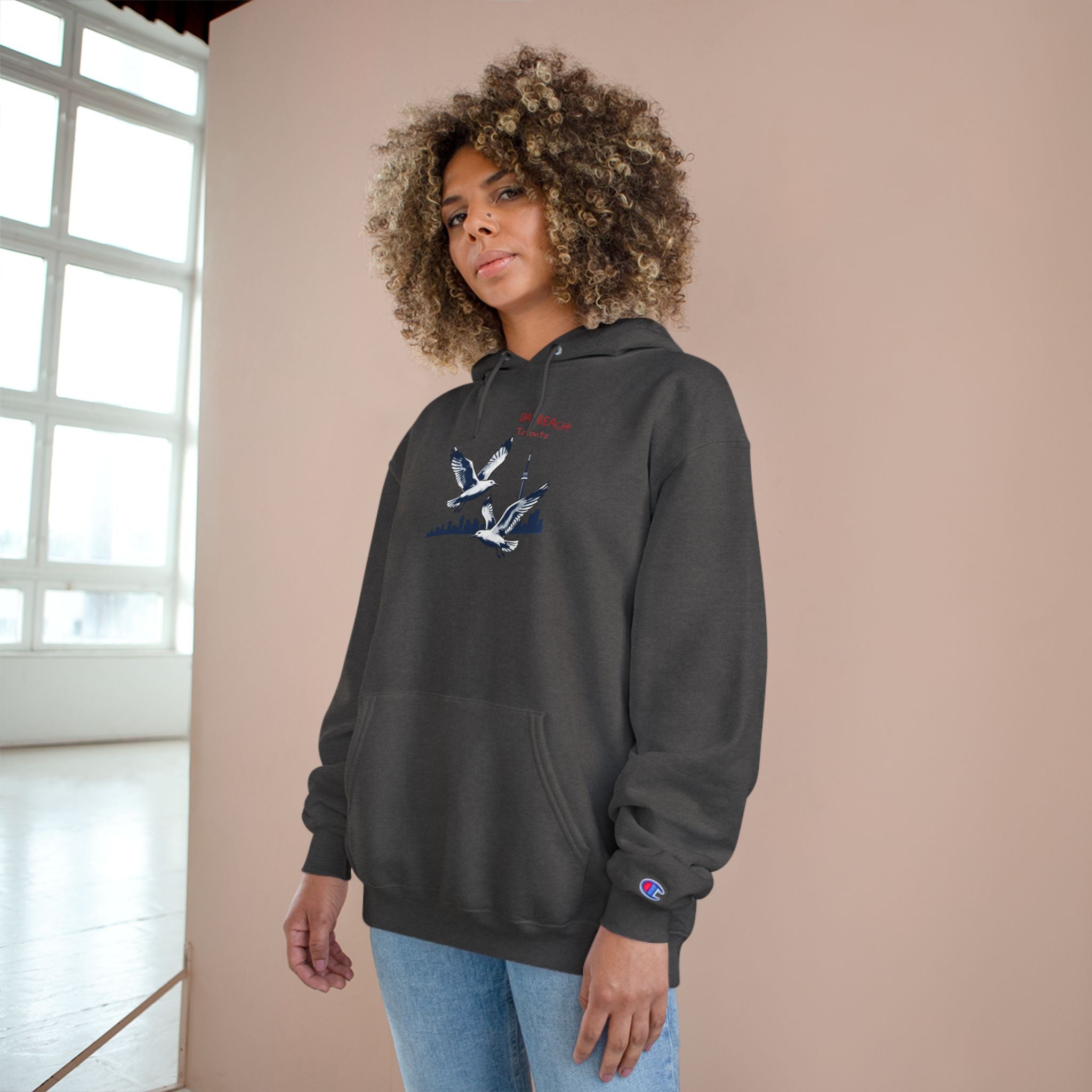 Hoodie Da Beach Seagulls and cn tower drawing Toronto Hoodie –  Pullover