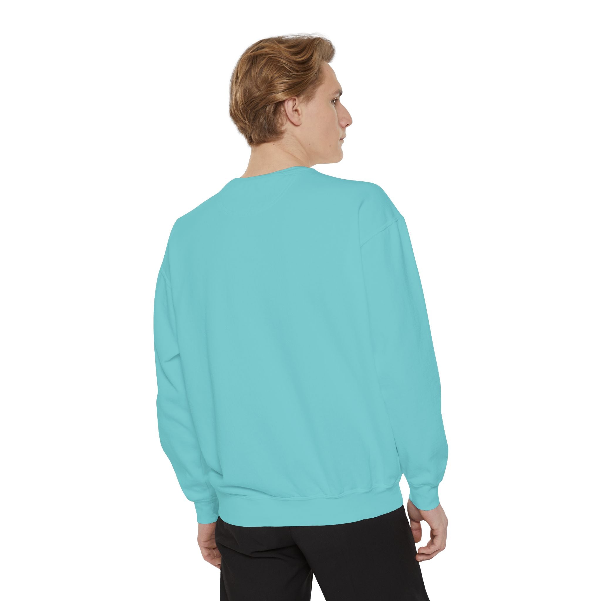 Sweatshirt The Beaches Leuty Stn Sweatshirt — Leuty stn Line Art Pullover