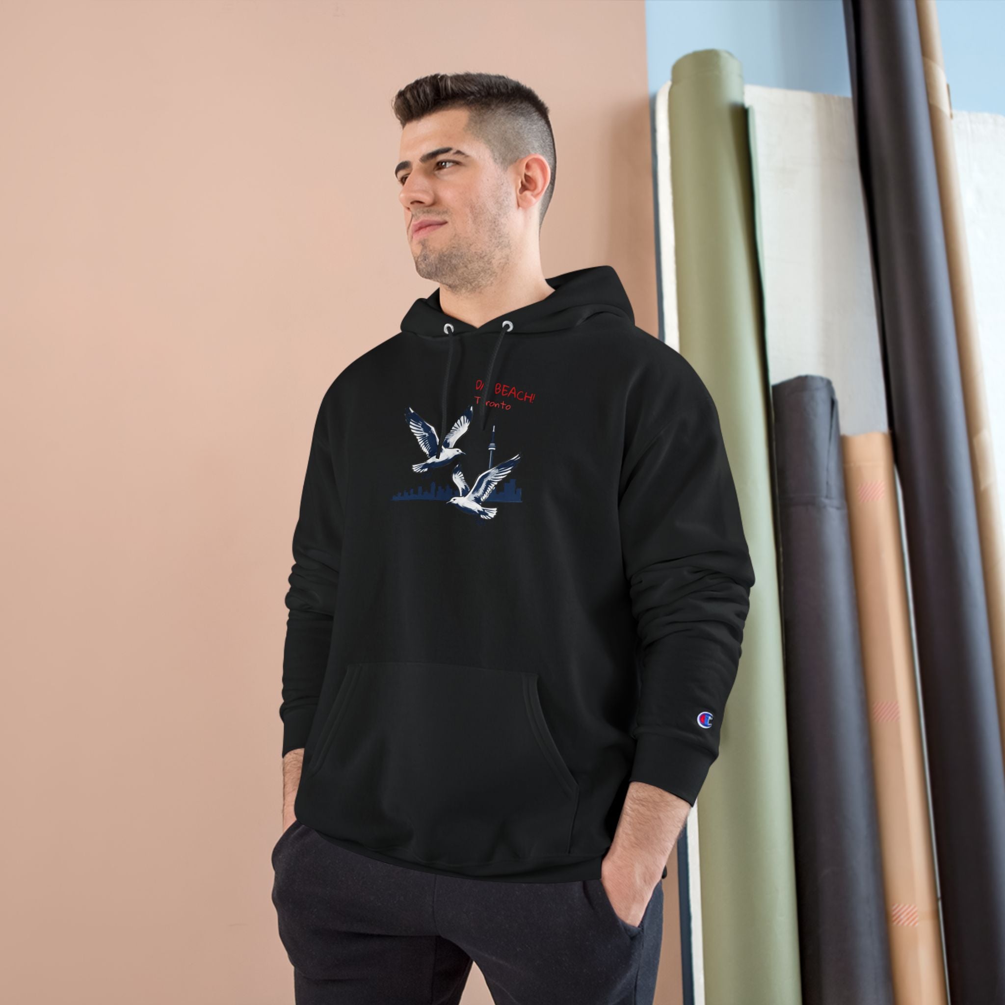 Hoodie Da Beach Seagulls and cn tower drawing Toronto Hoodie –  Pullover