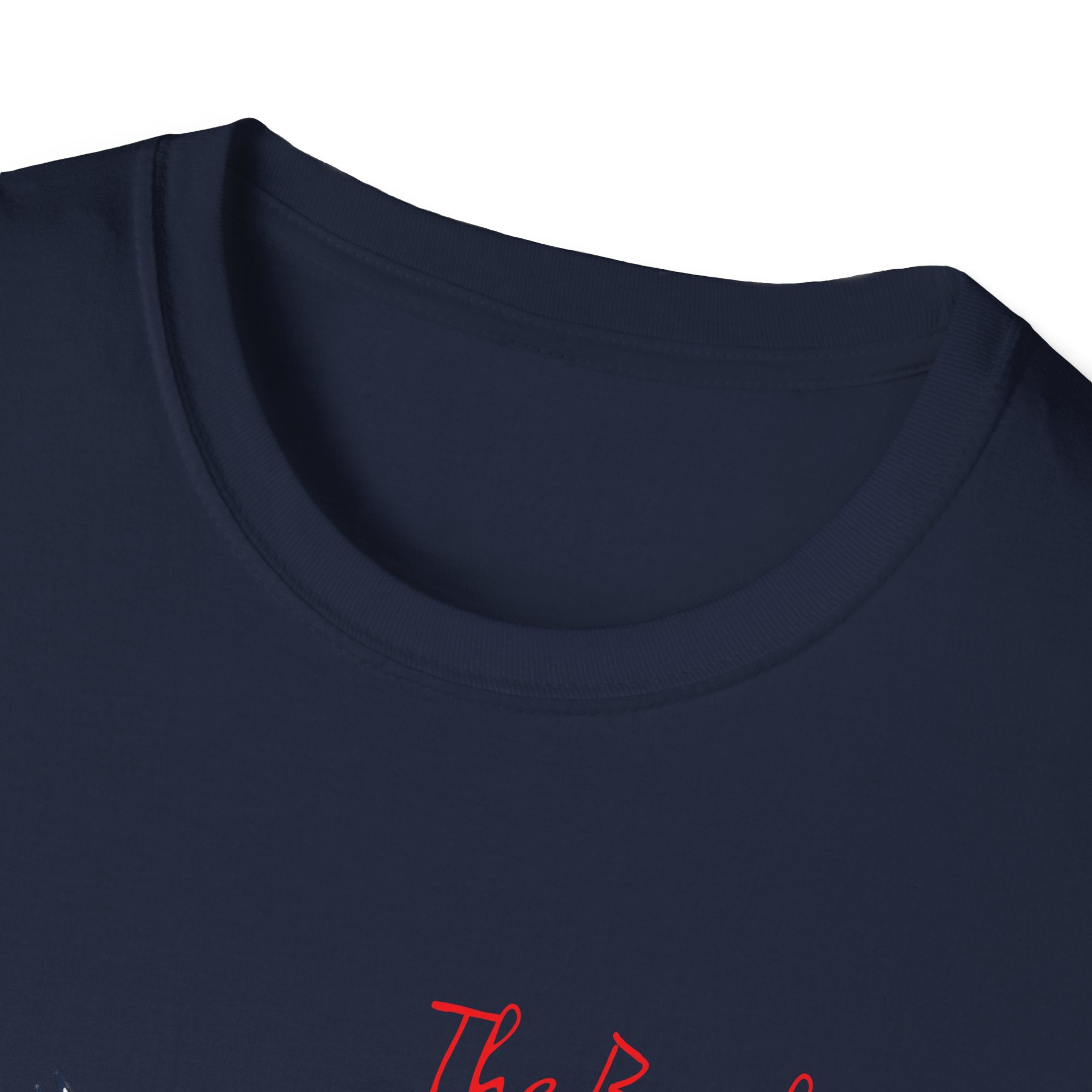 T-Shirt — The Beaches Toronto with Seagulls and cn tower