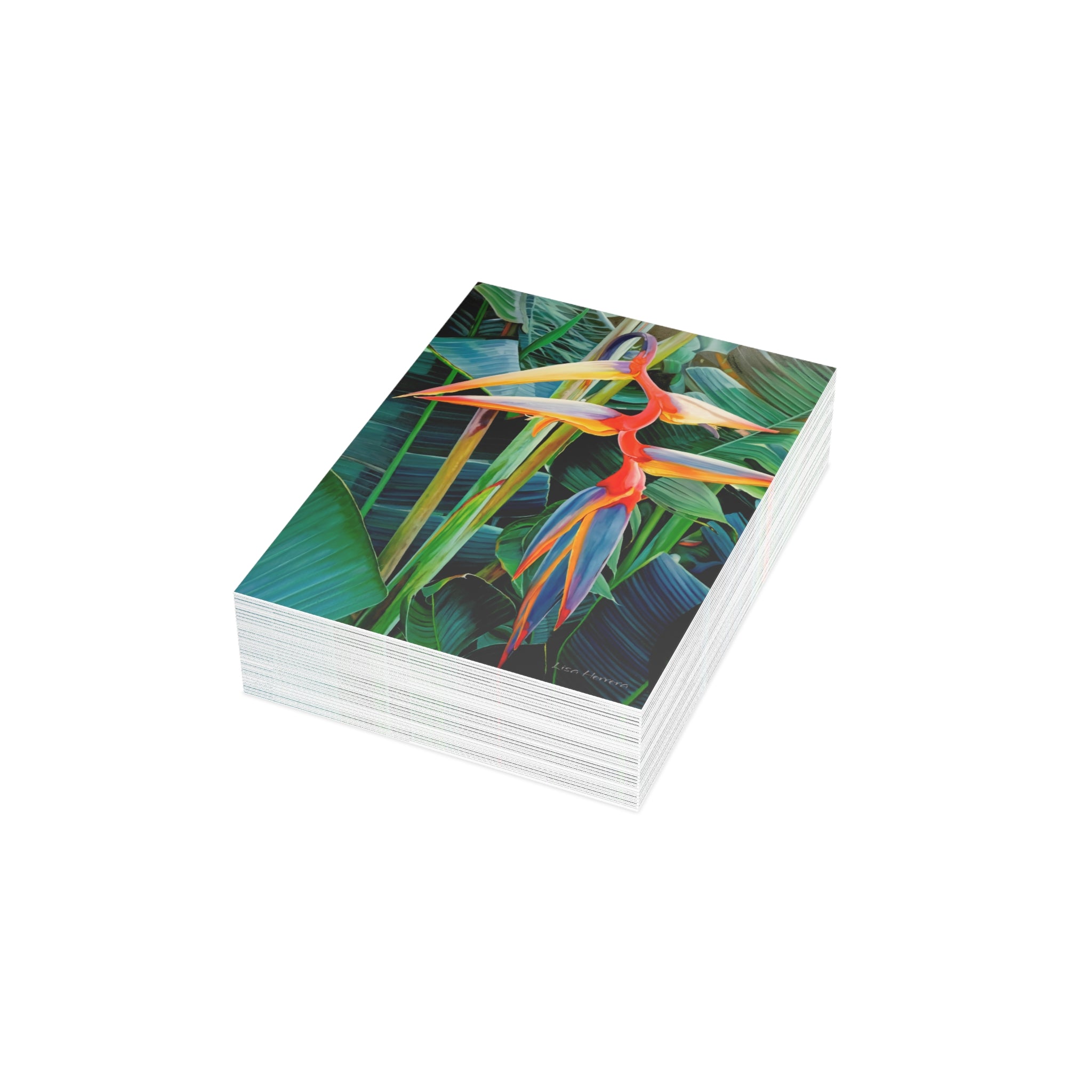 Greeting Card Lisa Herrera art print Halyconia  — Blank Inside (Pack of 1/10/30/50)