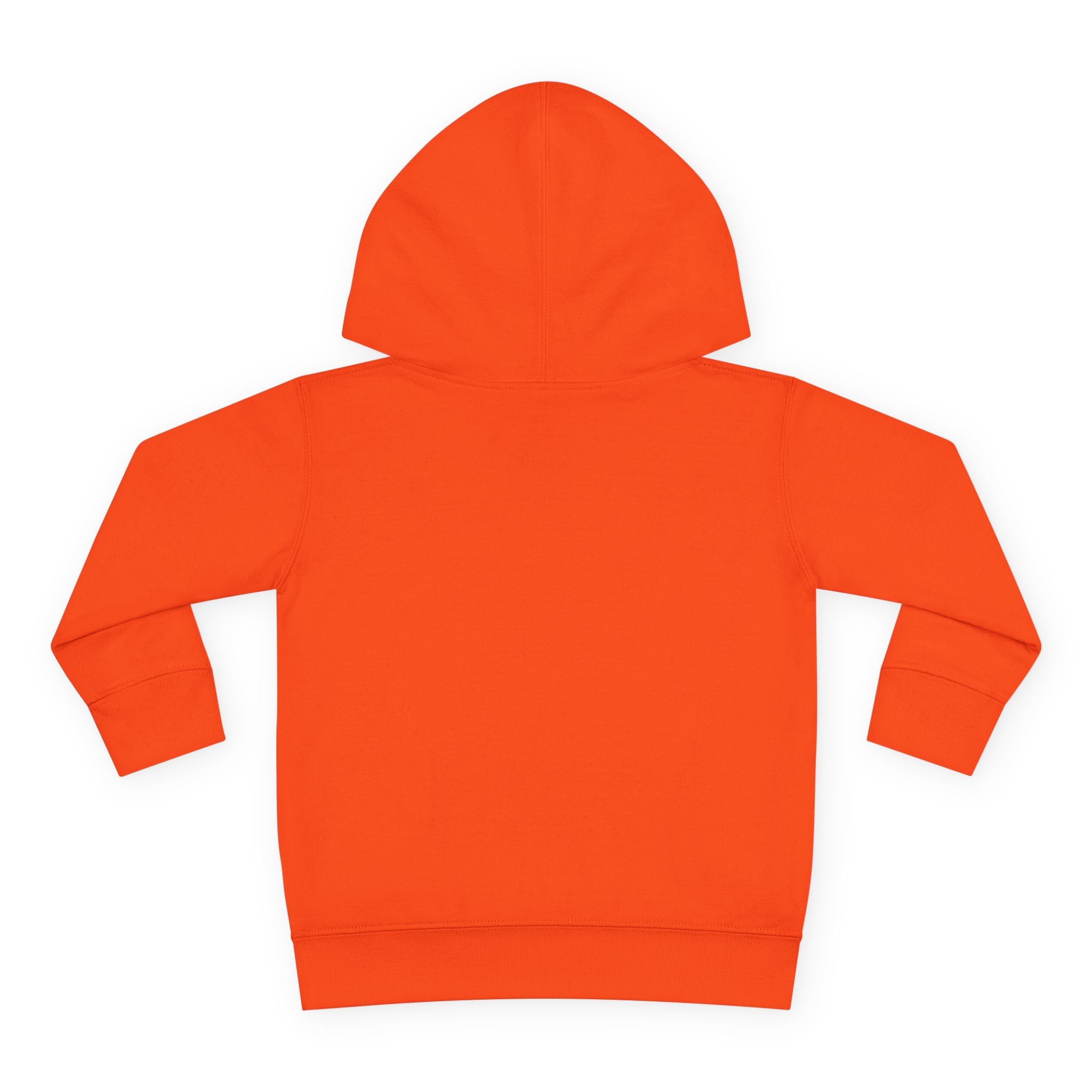 Toddler Hoodie Stay Pawsitive — Stay Pawsitive dog Pullover