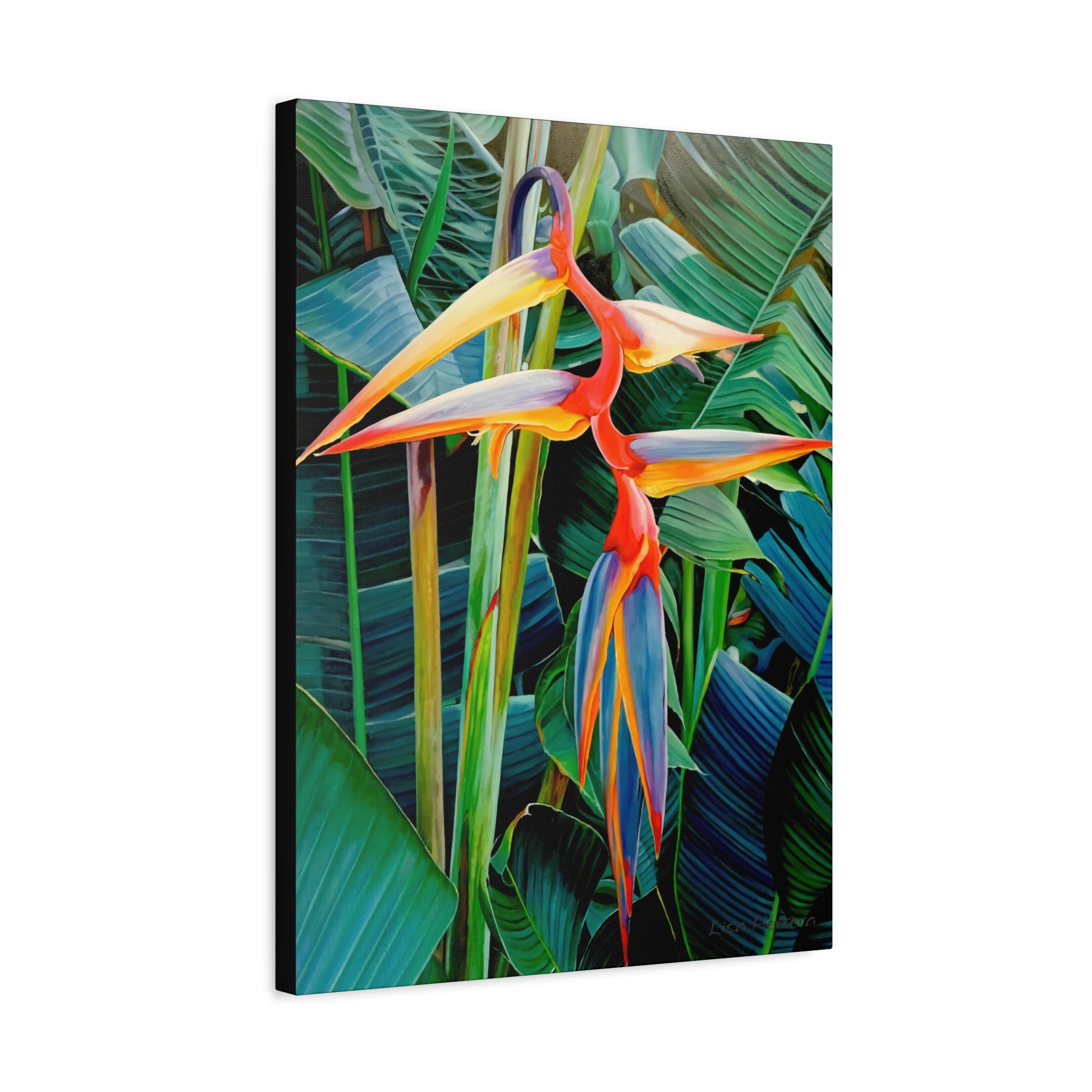 Canvas Print Lisa Herrera Halyconia Canvas Print — Vibrant Wall Art