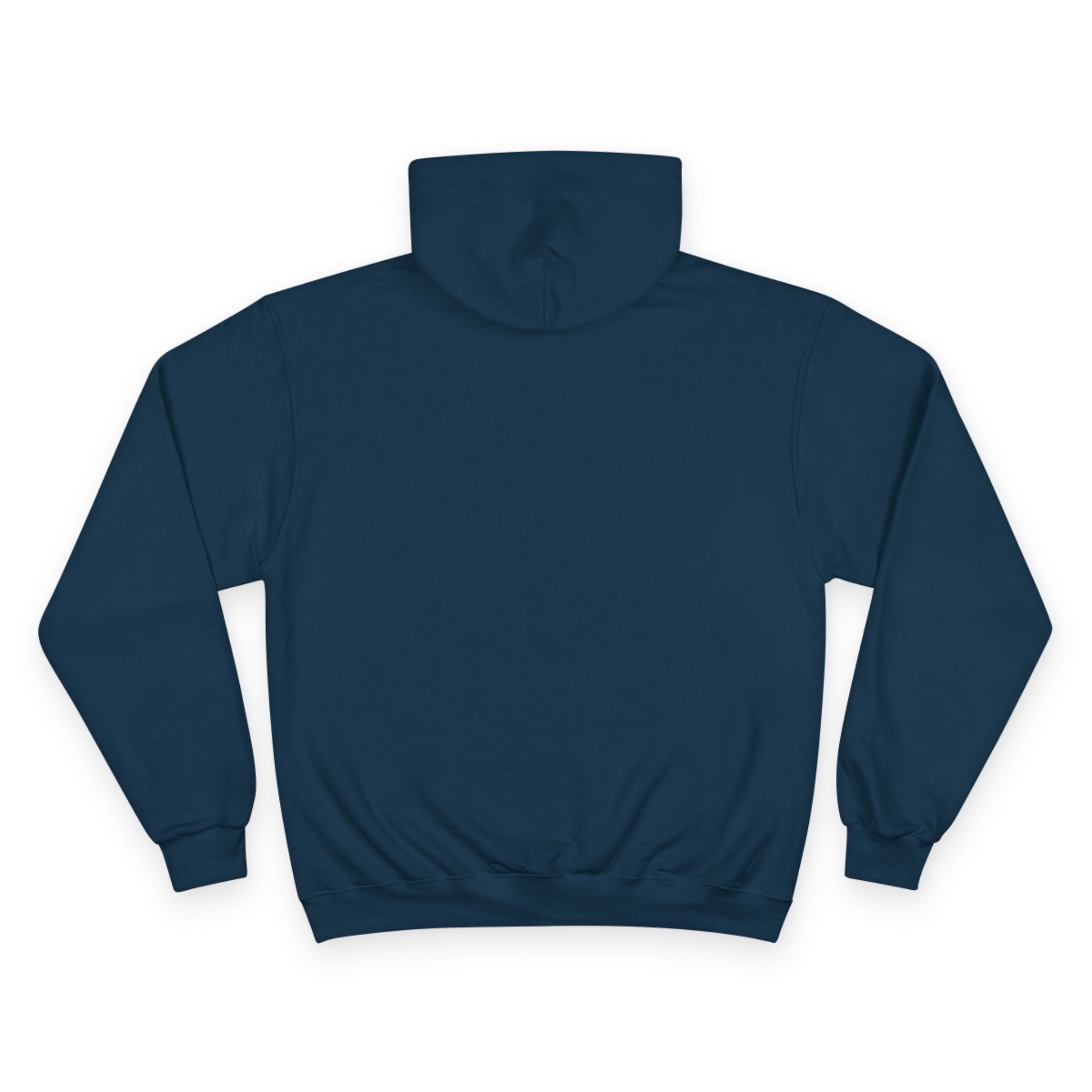 Hoodie Da Beach Seagulls and cn tower drawing Toronto Hoodie –  Pullover