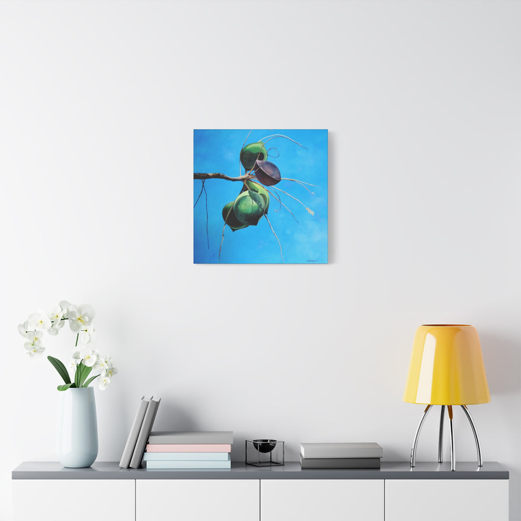 Canvas Art Lisa Herrera art Print Almonds - Caribbean Almonds Against Blue Sky