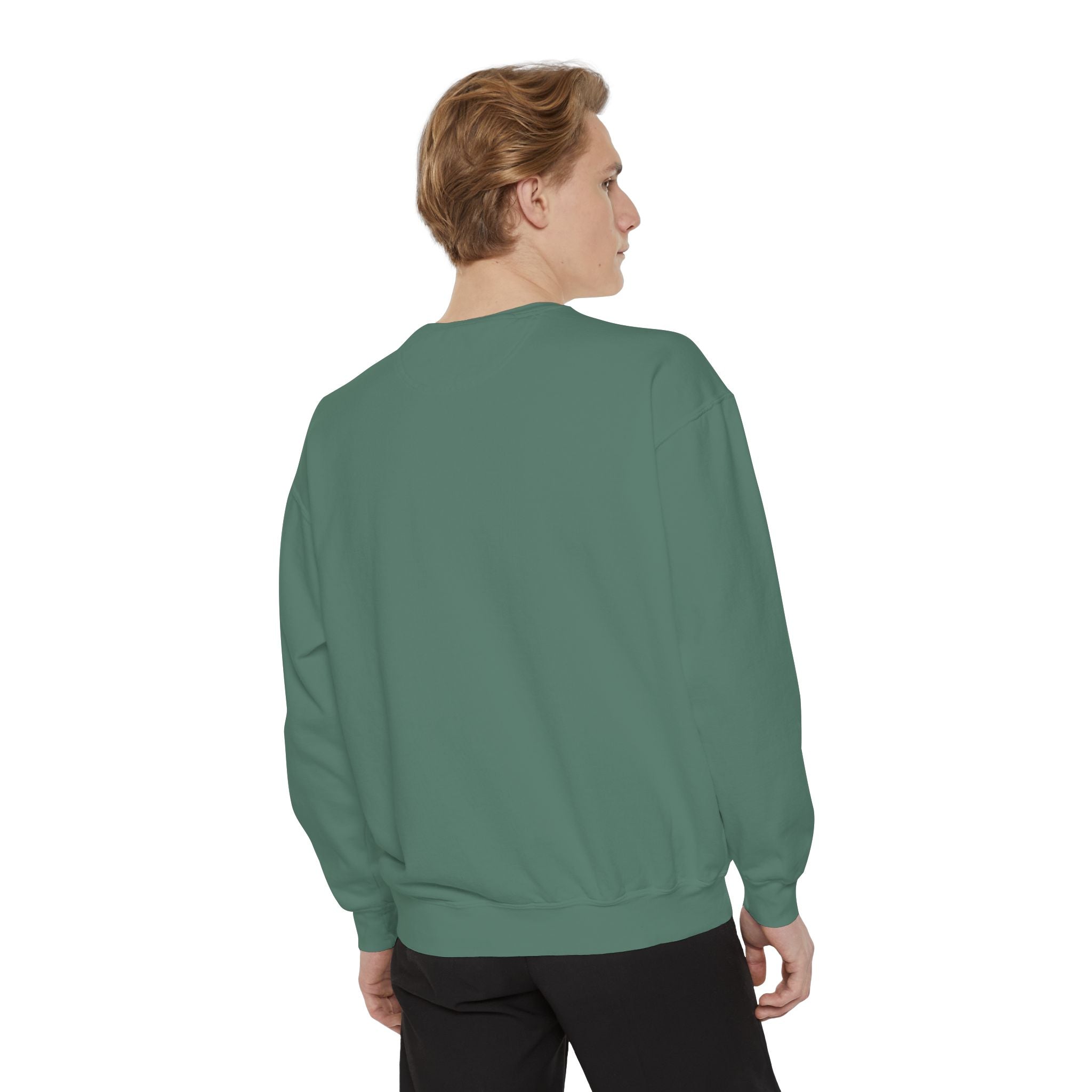 Sweatshirt The Beaches Leuty Stn Sweatshirt — Leuty stn Line Art Pullover