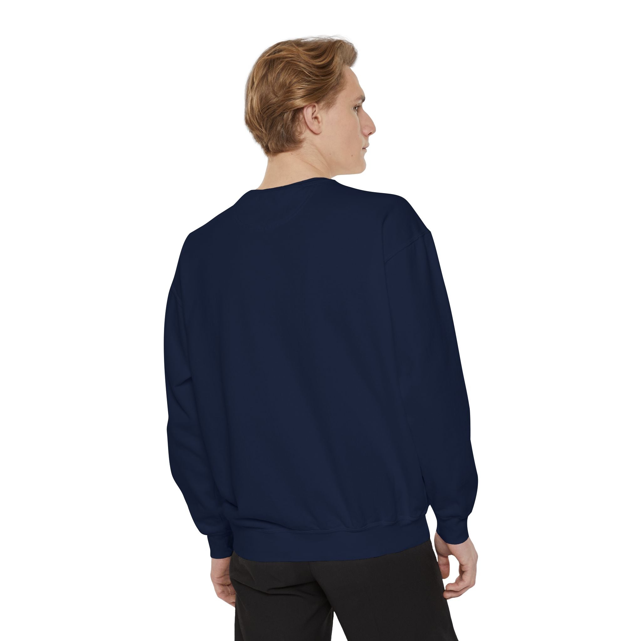 Sweatshirt The Beaches Leuty Stn Sweatshirt — Leuty stn Line Art Pullover