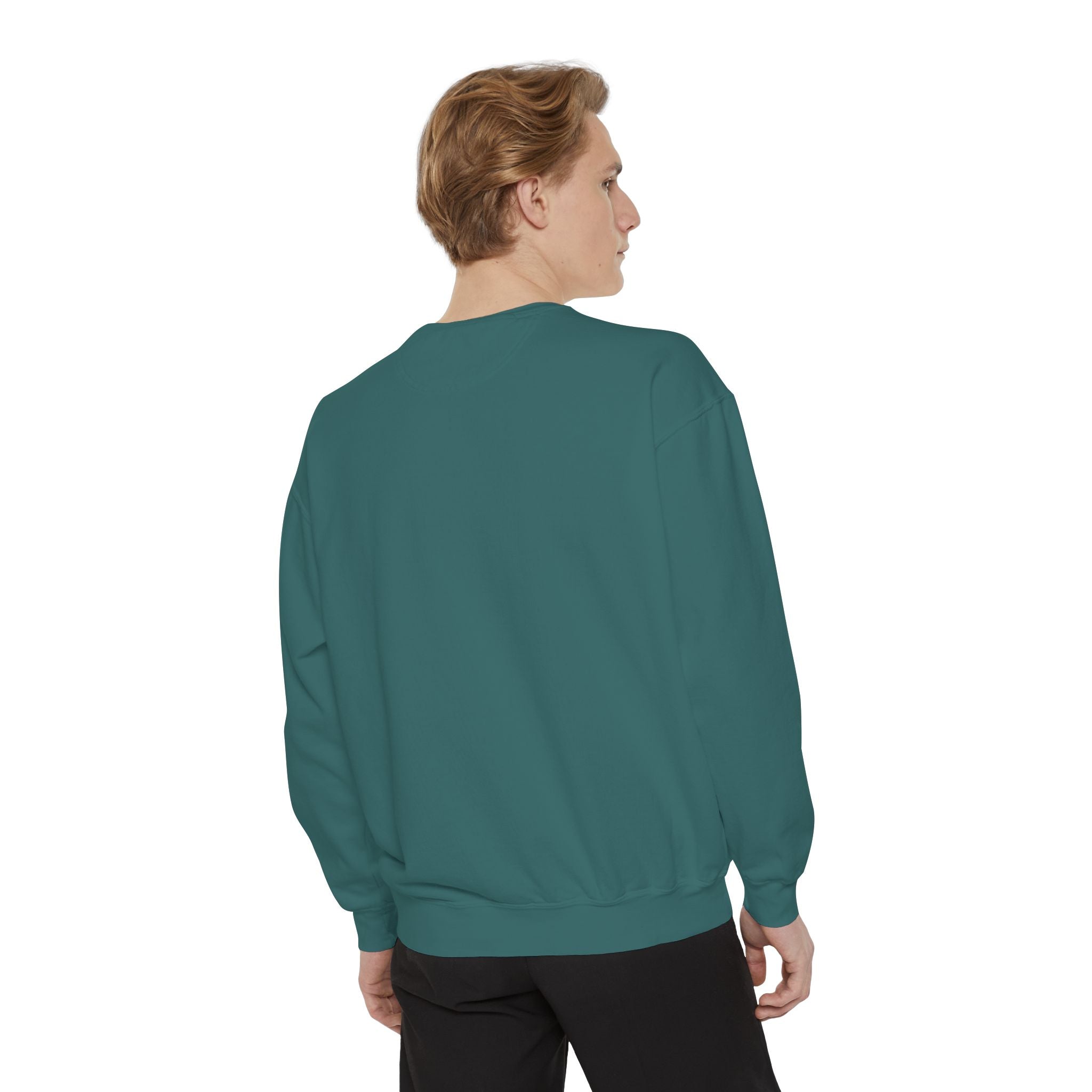 Sweatshirt The Beaches Leuty Stn Sweatshirt — Leuty stn Line Art Pullover
