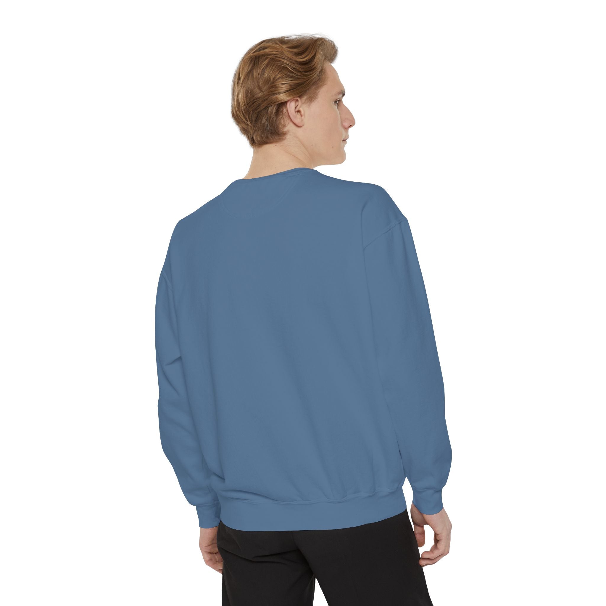 Sweatshirt The Beaches Leuty Stn Sweatshirt — Leuty stn Line Art Pullover