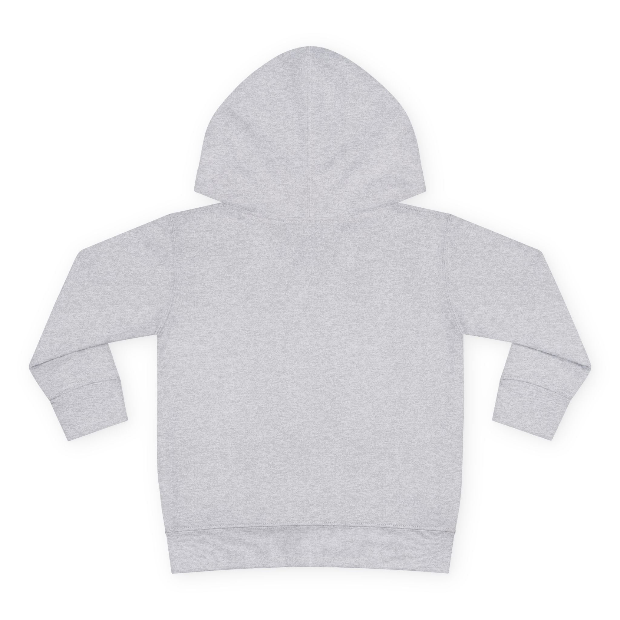 Toddler Hoodie the beaches toronto — Pullover