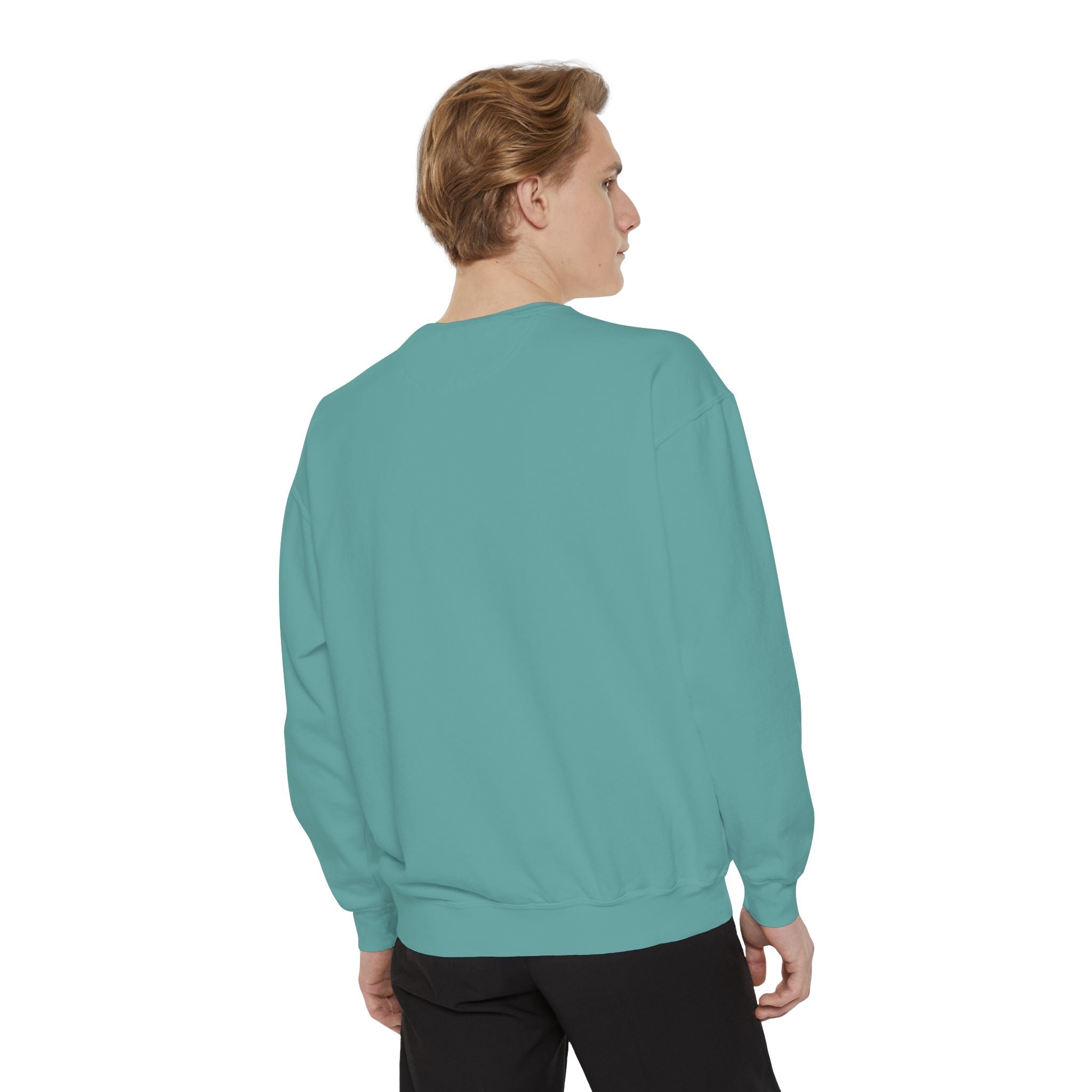 Sweatshirt The Beaches Leuty Stn Sweatshirt — Leuty stn Line Art Pullover