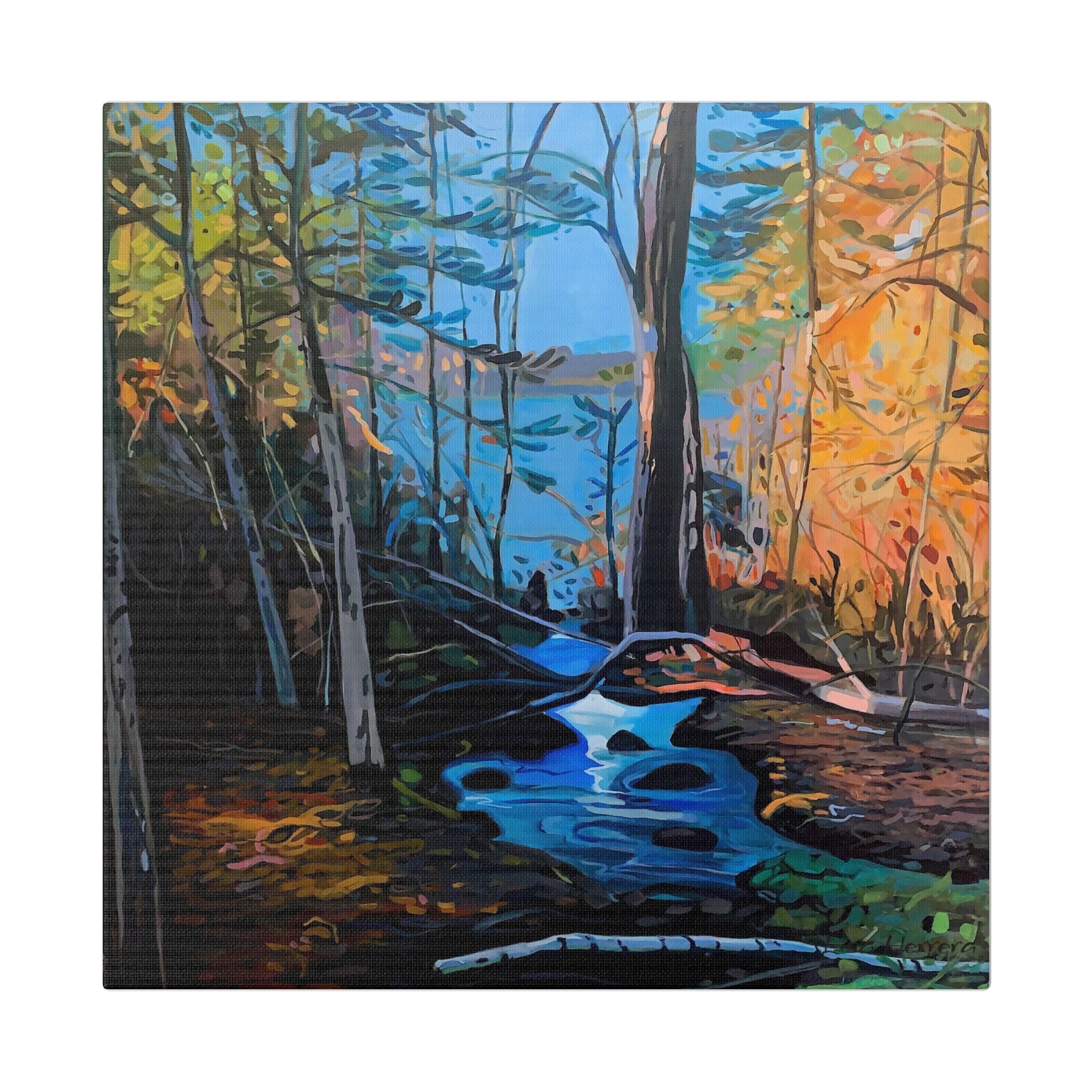 Canvas Print Lisa Herrera Art Northern Forest Stream Canvas