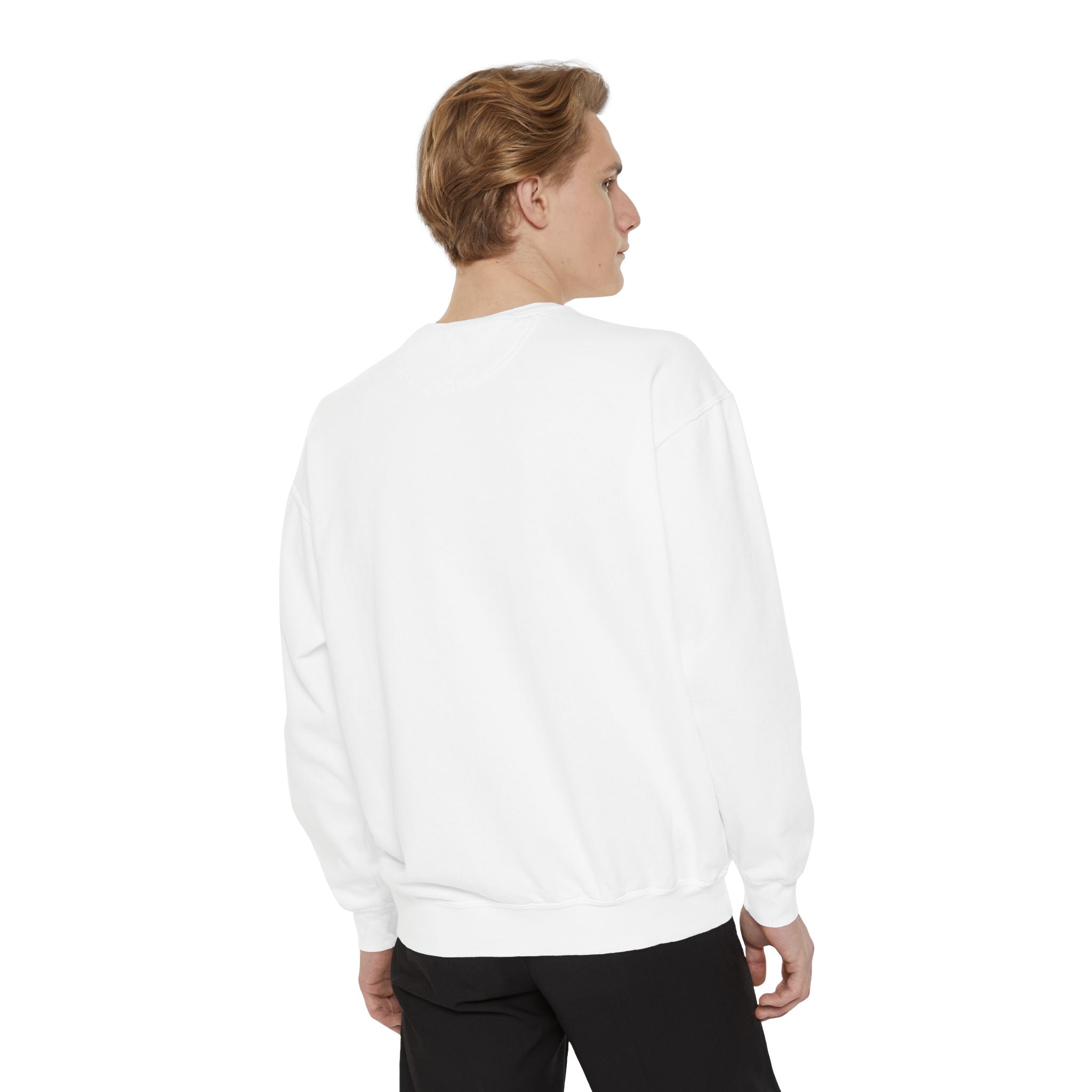 Sweatshirt The Beaches Leuty Stn Sweatshirt — Leuty stn Line Art Pullover