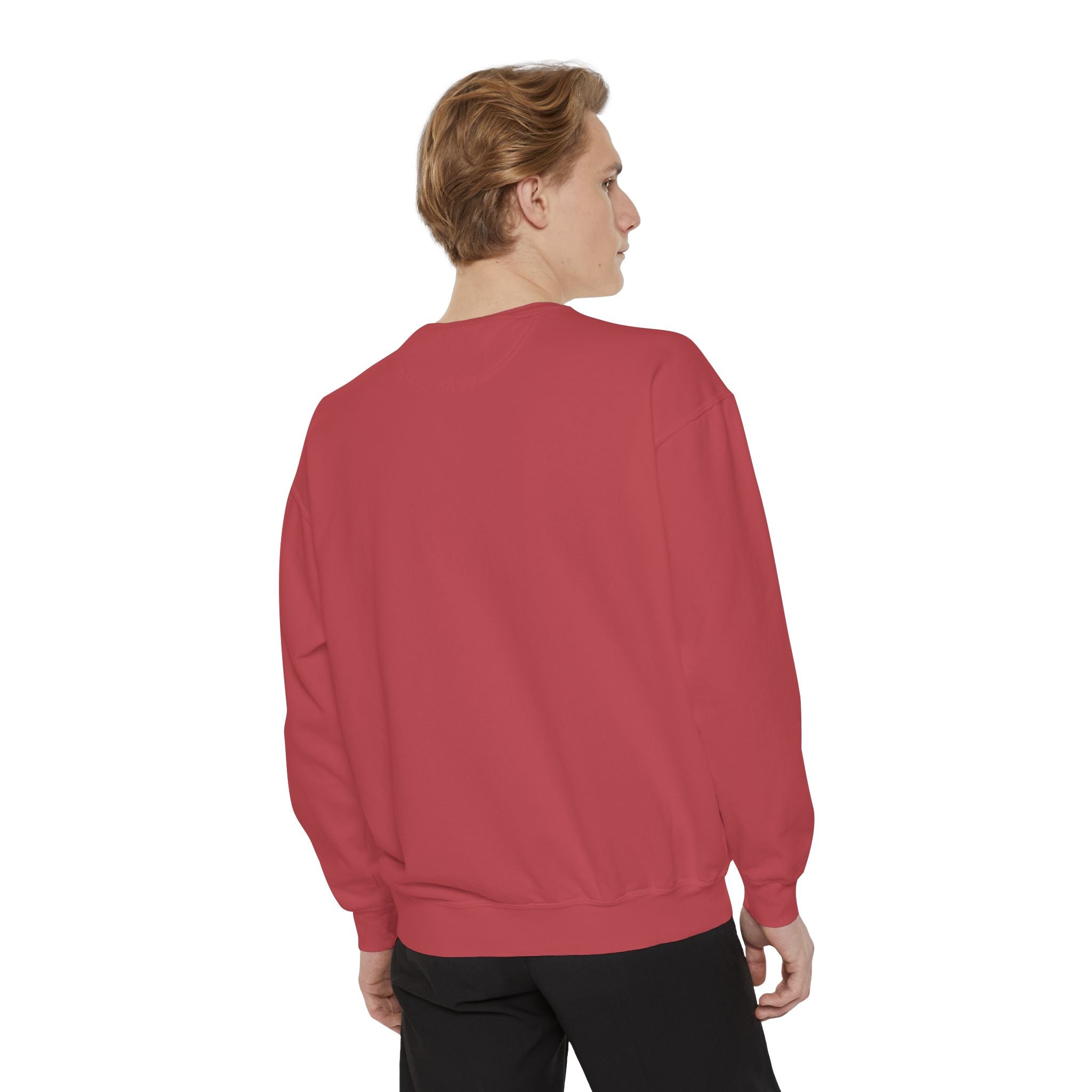 Sweatshirt The Beaches Leuty Stn Sweatshirt — Leuty stn Line Art Pullover
