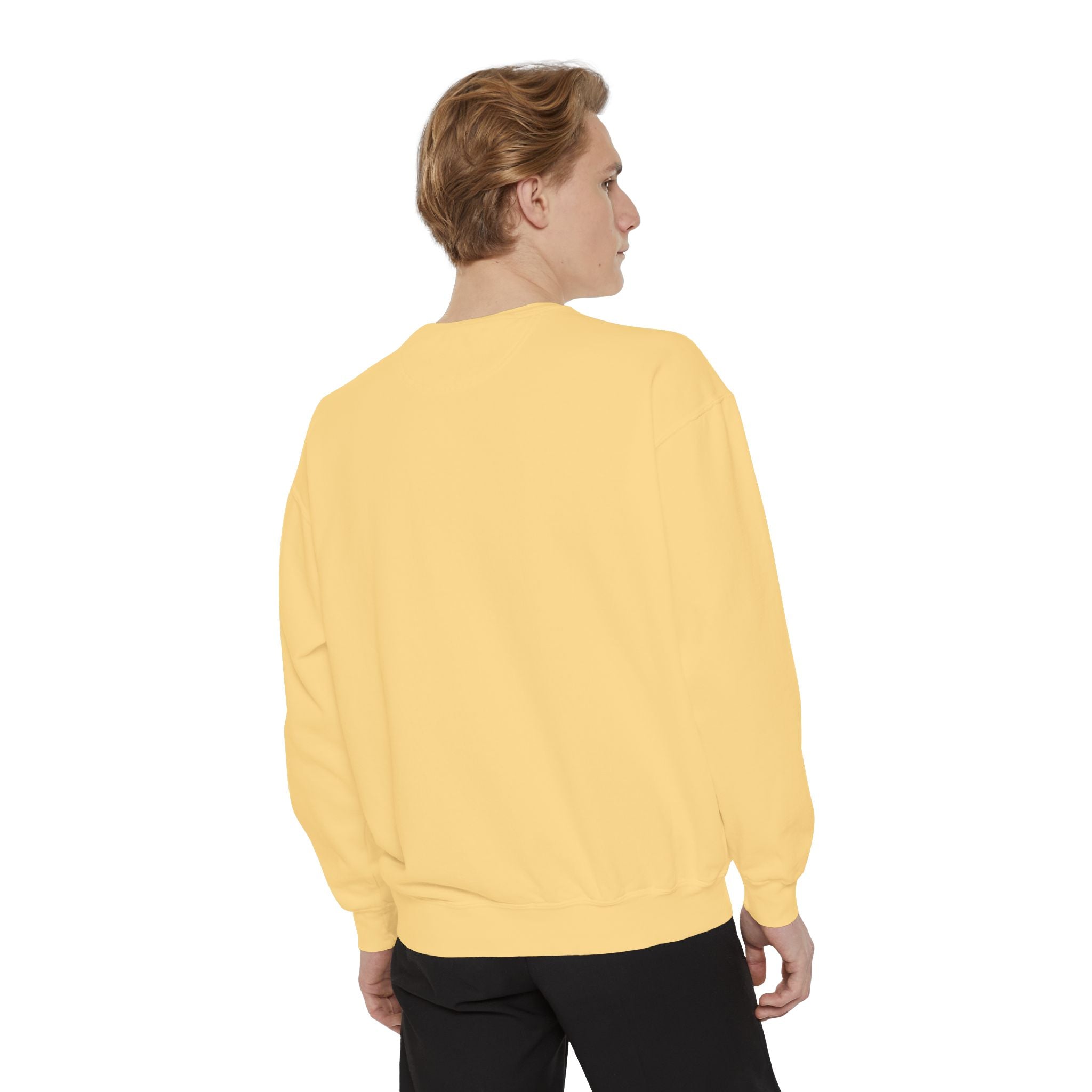 Sweatshirt The Beaches Leuty Stn Sweatshirt — Leuty stn Line Art Pullover