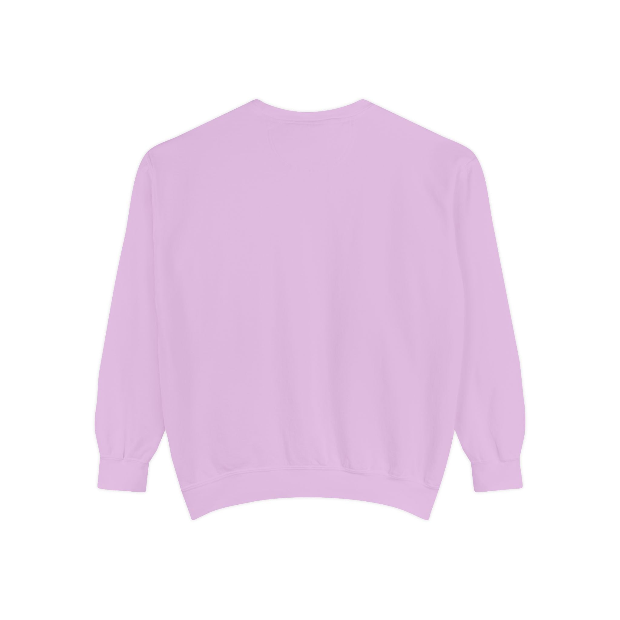 Sweatshirt The Beaches Leuty Stn Sweatshirt — Leuty stn Line Art Pullover