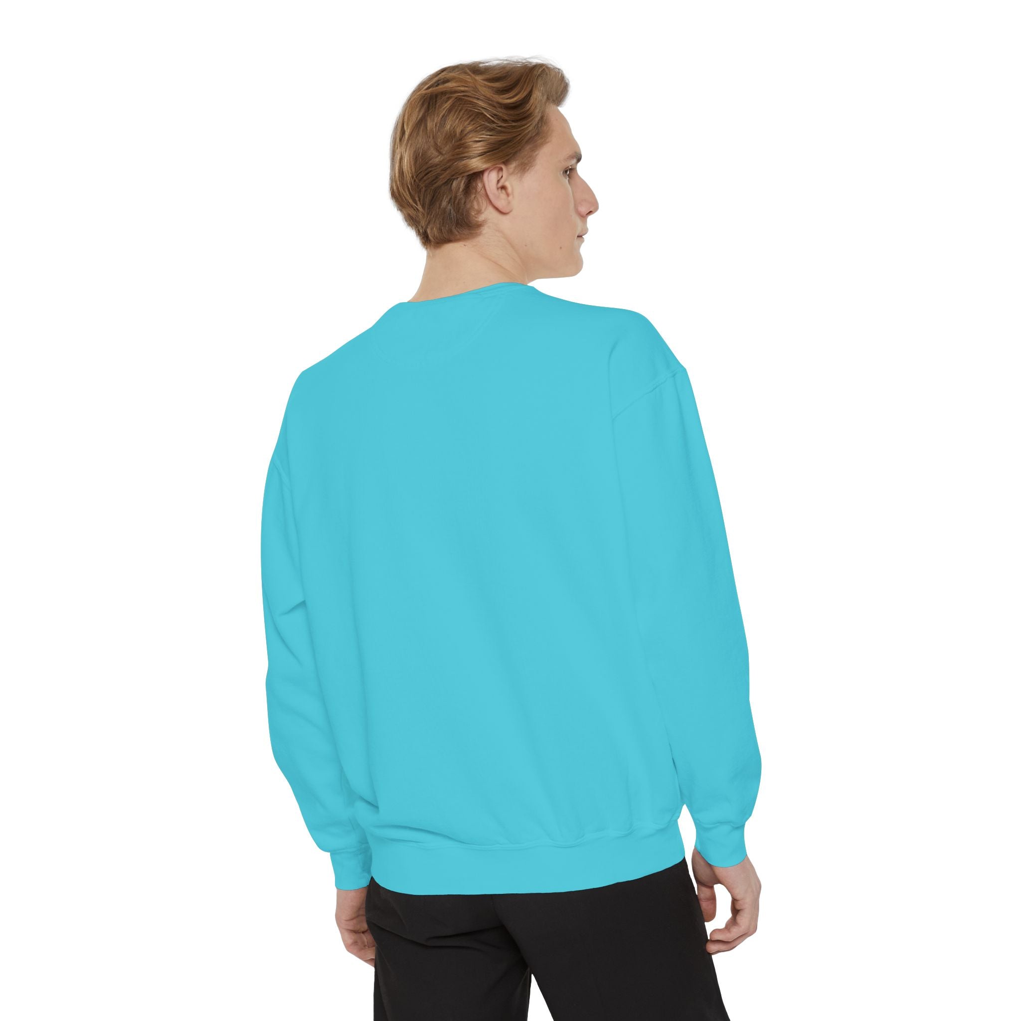 Sweatshirt The Beaches Leuty Stn Sweatshirt — Leuty stn Line Art Pullover