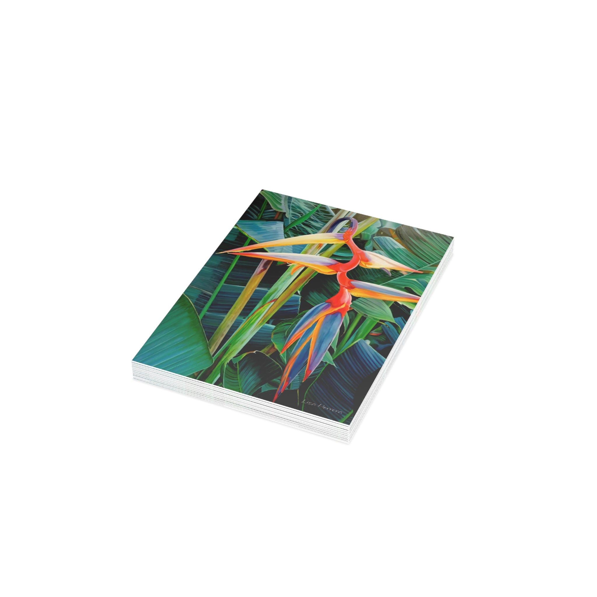Greeting Card Lisa Herrera art print Halyconia  — Blank Inside (Pack of 1/10/30/50)