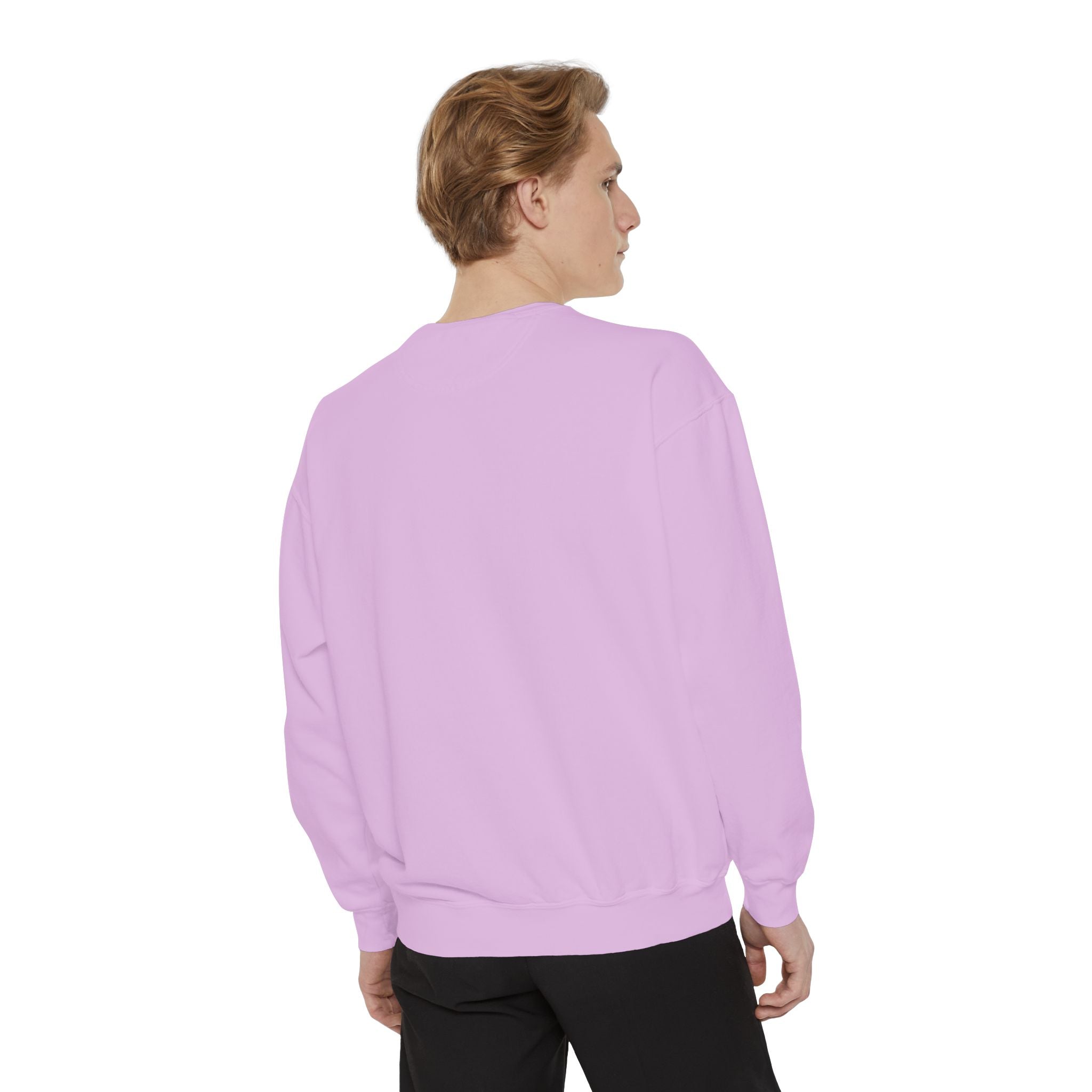 Sweatshirt The Beaches Leuty Stn Sweatshirt — Leuty stn Line Art Pullover