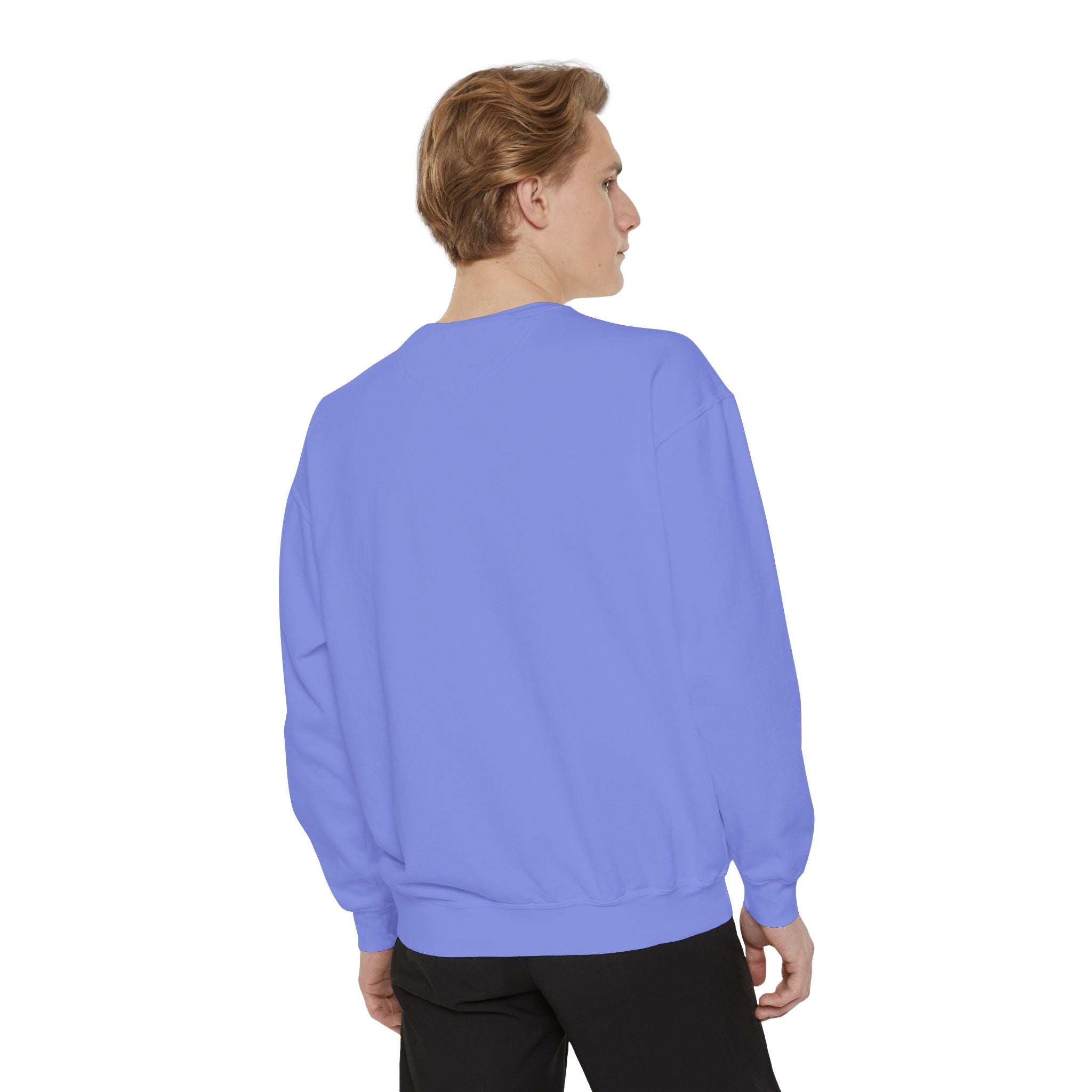 Sweatshirt The Beaches Leuty Stn Sweatshirt — Leuty stn Line Art Pullover