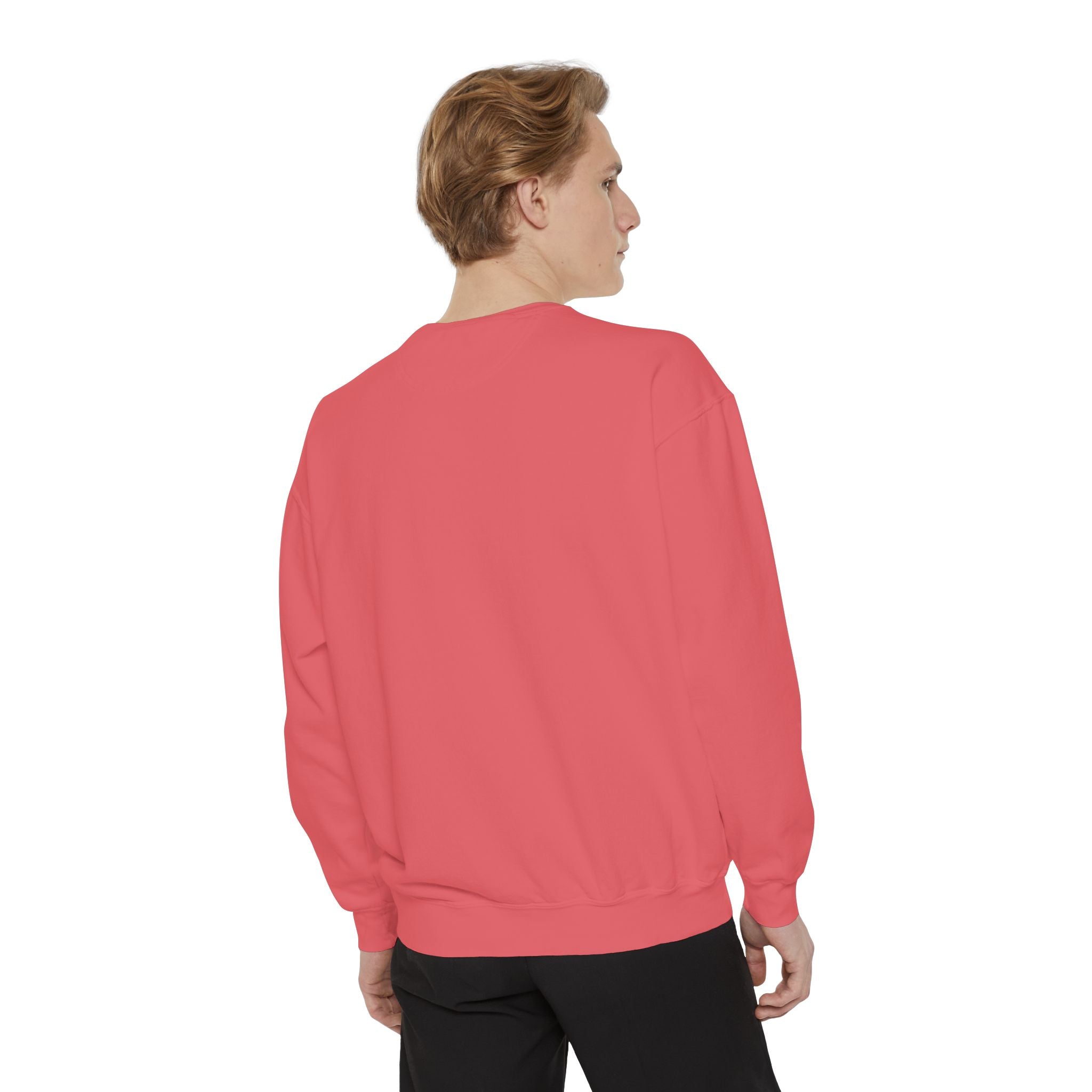 Sweatshirt The Beaches Leuty Stn Sweatshirt — Leuty stn Line Art Pullover
